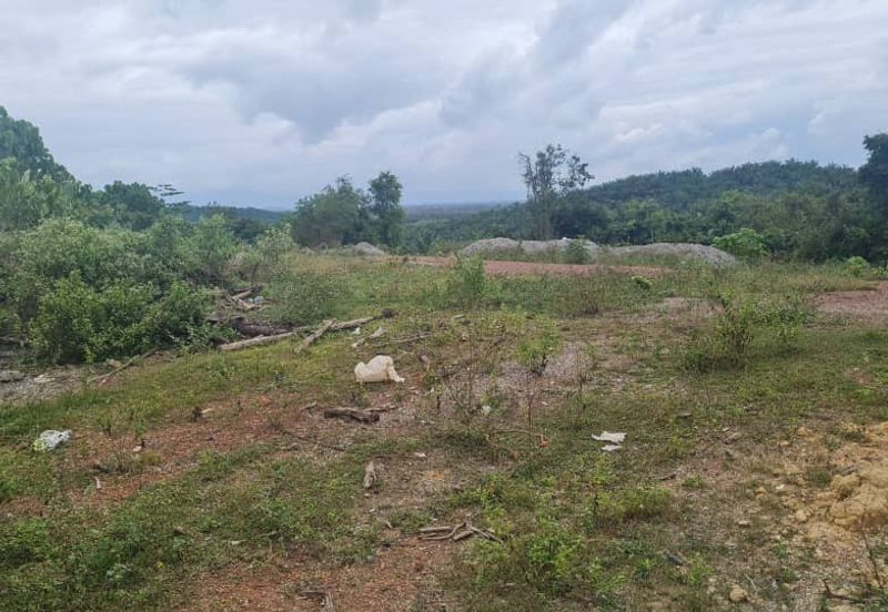 PINANG TUNGGAL SG PETANI AGRI LAND 16 ACRE FREEHOLD WITH RESIDENTIAL ZONNING
