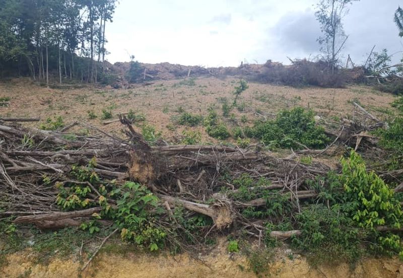 PINANG TUNGGAL SG PETANI AGRI LAND 16 ACRE FREEHOLD WITH RESIDENTIAL ZONNING