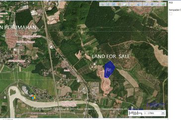 PINANG TUNGGAL SG PETANI AGRI LAND 16 ACRE FREEHOLD WITH RESIDENTIAL ZONNING