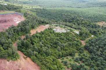 PINANG TUNGGAL SG PETANI AGRI LAND 16 ACRE FREEHOLD WITH RESIDENTIAL ZONNING