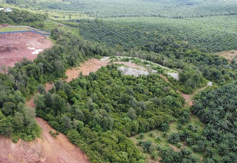 PINANG TUNGGAL SG PETANI AGRI LAND 16 ACRE FREEHOLD WITH RESIDENTIAL ZONNING