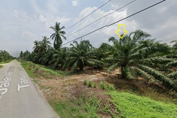 Tanah NON BUMI luas 1.38 ekar di Assam Jawa, Mukim Api-Api, Kuala Selangor 