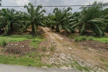 Tanah NON BUMI luas 1.38 ekar di Assam Jawa, Mukim Api-Api, Kuala Selangor 