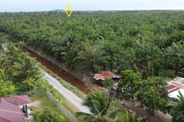 TANJUNG KARANG , KUALA SELANGOR TANAH 5 EKAR FREEHOLD DEKAT HOSPITAL TG KARANG FOR SALE