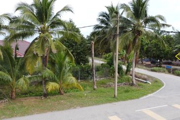 TANJUNG KARANG , KUALA SELANGOR TANAH 5 EKAR FREEHOLD DEKAT HOSPITAL TG KARANG FOR SALE