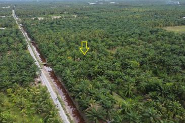 TANJUNG KARANG , KUALA SELANGOR TANAH 5 EKAR FREEHOLD DEKAT HOSPITAL TG KARANG FOR SALE