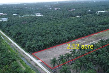 Tanah FREEHOLD 2.52 ekar Permatang Tengah, Mukim Api-Api, K. Selangor