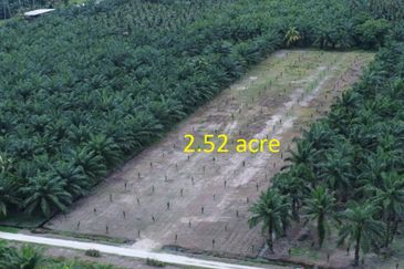 Tanah FREEHOLD 2.52 ekar Permatang Tengah, Mukim Api-Api, K. Selangor