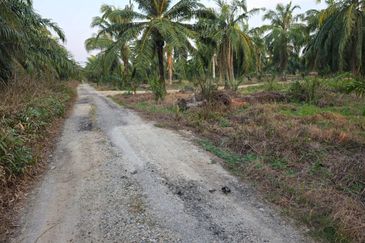 SUNGAI YU KUALA SELANGOR 4 EKAR KEBUN SAWIT NON BUMI FOR SALE