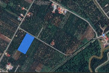 SUNGAI YU KUALA SELANGOR 4 EKAR KEBUN SAWIT NON BUMI FOR SALE