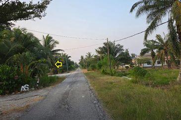 SUNGAI YU KUALA SELANGOR 4 EKAR KEBUN SAWIT NON BUMI FOR SALE