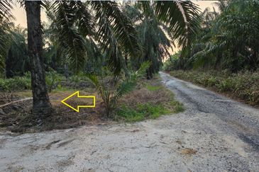 SUNGAI YU KUALA SELANGOR 4 EKAR KEBUN SAWIT NON BUMI FOR SALE