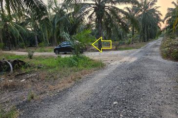 SUNGAI YU KUALA SELANGOR 4 EKAR KEBUN SAWIT NON BUMI FOR SALE