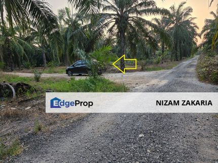 Kebun sawit 4 ekar Non Bumi Sungai Yu , Kuala Selangor, Selangor, Kuala Selangor