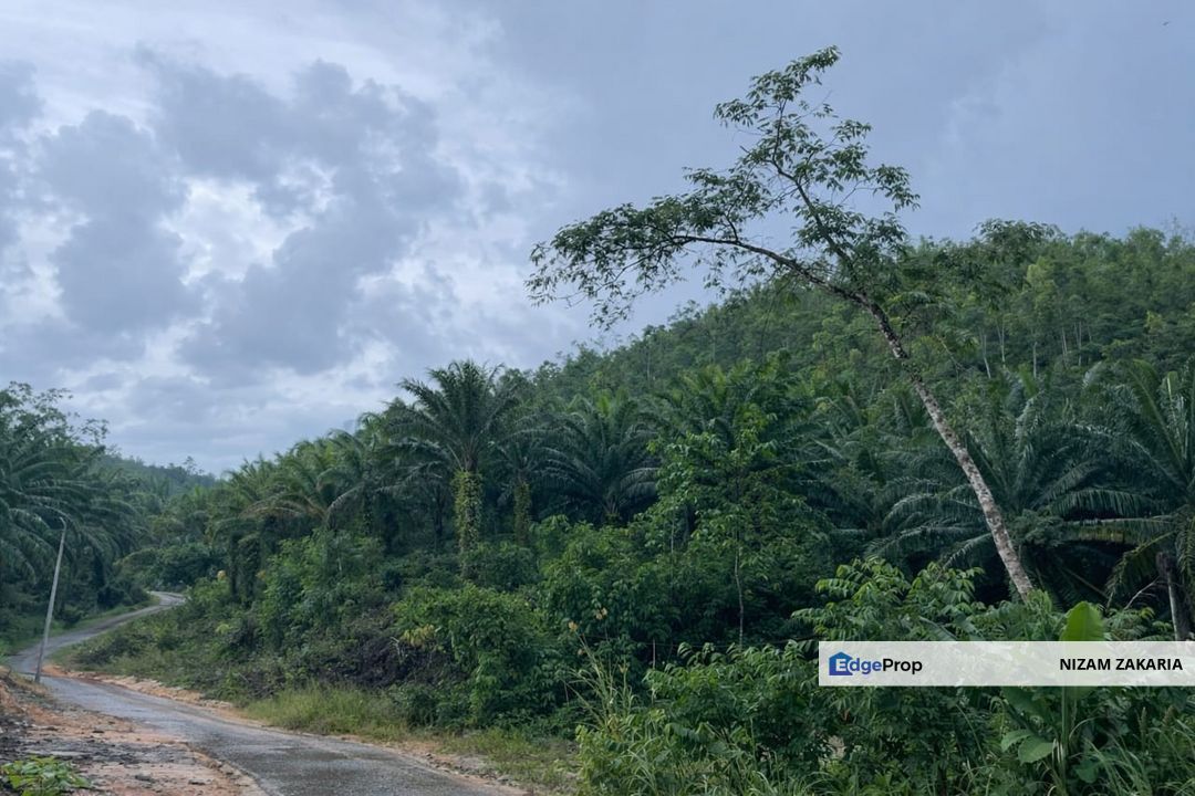 Gua Musang , Kuala Betis Tanah 13 ekar, Kelantan, Gua Musang