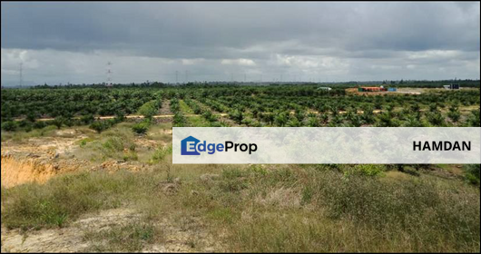 OIL PALM PLANTATION LAND AT SARAWAK, Sarawak, Kota Samarahan