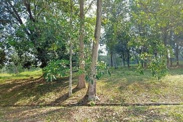 College Heights Garden Resort