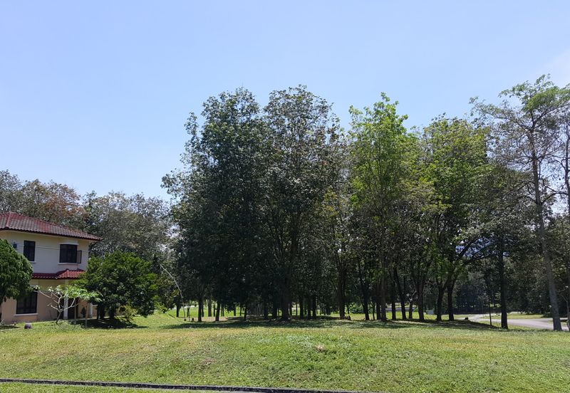 College Heights Garden Resort