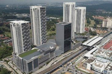 Dianthus @ Tropicana Gardens