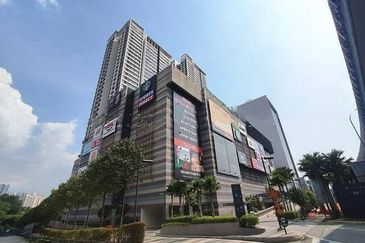 Dianthus @ Tropicana Gardens