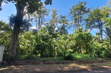 College Heights Garden Resort