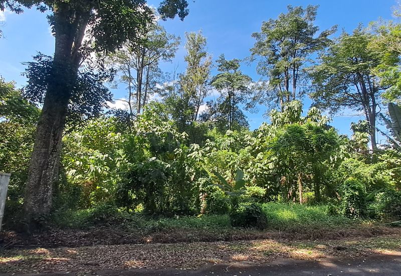 College Heights Garden Resort