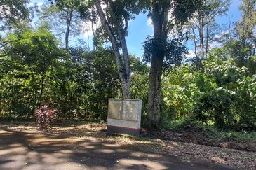 College Heights Garden Resort