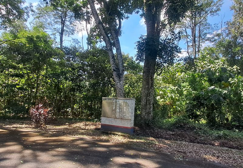 College Heights Garden Resort