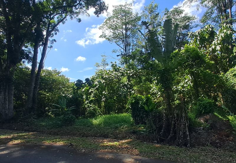 College Heights Garden Resort