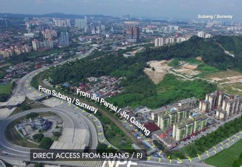 Cubic Botanical (Residensi Rimba)