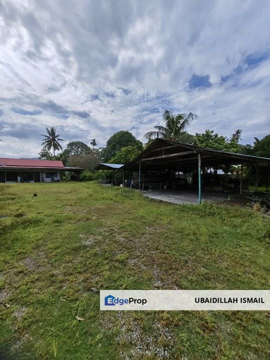 Kampung Perlis Balik Pulau Penang Tanah Kosong @ Kampung Pertanian, Penang, Balik Pulau