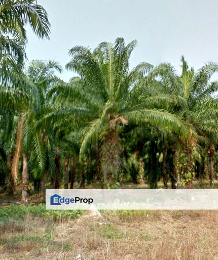 Ijok Zoning Industrial Land for Sale, Selangor, Kuala Selangor