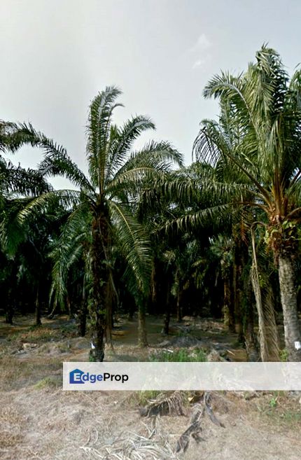 Good Potential Industrial Zonned Land at Ijok For Sale, Selangor, Kuala Selangor