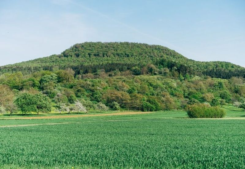 Flat Agricultural Developmental Land for Sale