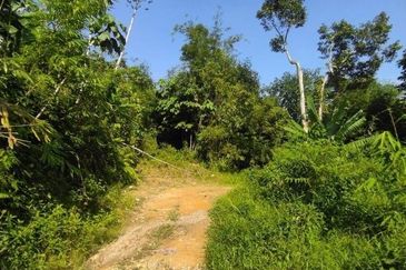 MEDIUM INDUSTRIAL LAND IN BATANG BERJUNTAI