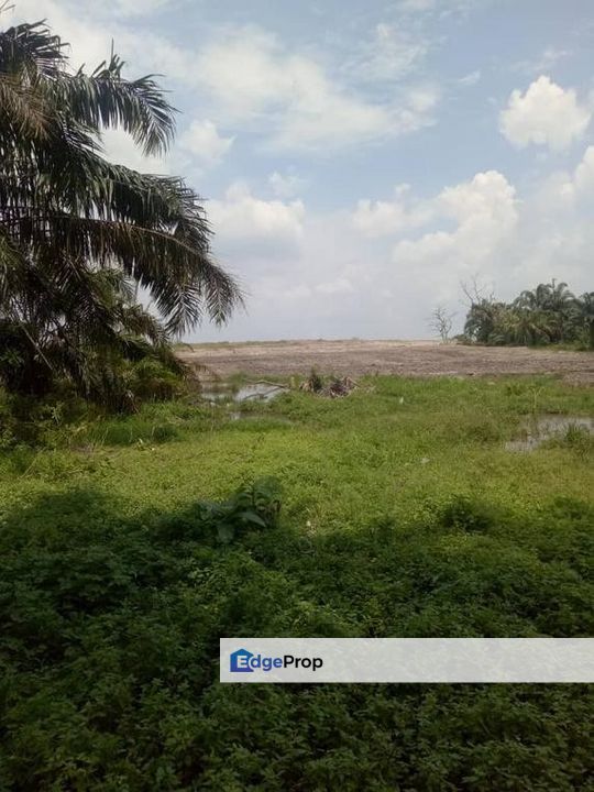 300 Acres Agriculture Land in Melaka, Melaka, Durian Tunggal