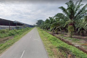 Road Frontage Industrial Land @ Ijok