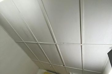 Terrence House for Sale @ SS15 