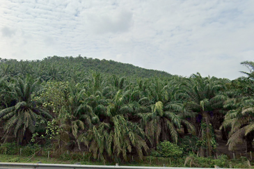 Mix Development Land For Sale @ Tanjong Dua Belas