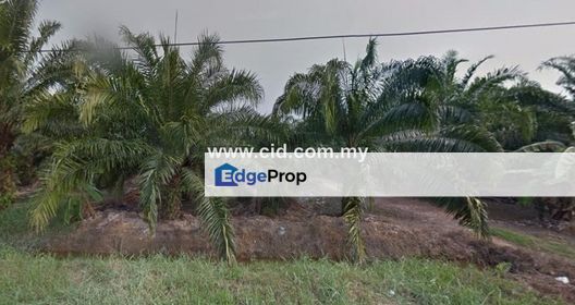 FLAT AGRICULTURAL LAND ZONED INDUSTRIAL, Selangor, Kuala Langat