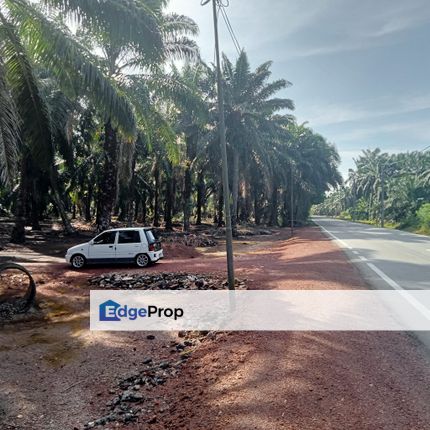 3.03 ACRES IJOK COMMERCIAL LAND FOR RENT, Selangor, Kuala Selangor
