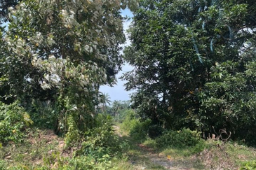 Bukit Jelutong Industrial Park