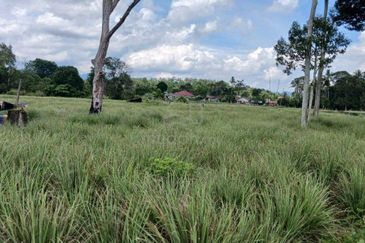 Tanah Pertanian Beranang Tengah