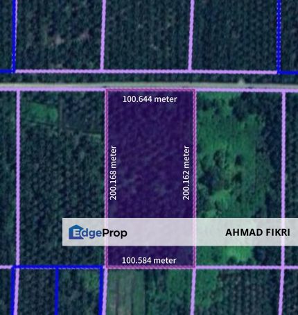 Tanah Pertanian Kampung Ijok, Bestari Jaya, Selangor, Selangor, Kuala Selangor