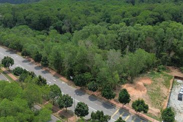 Jalan Rimba Riang 9/12