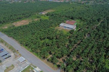 Batang Berjuntai @ Bestari Jaya