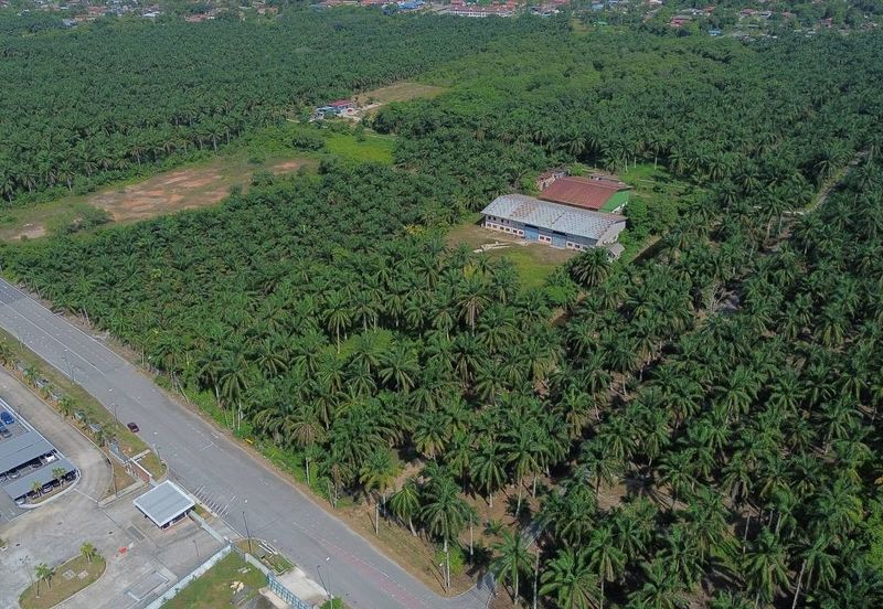 Batang Berjuntai @ Bestari Jaya