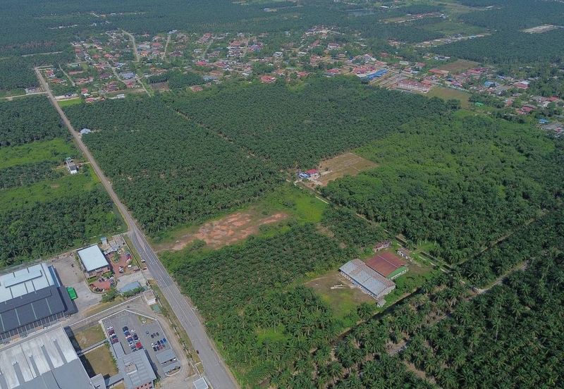 Batang Berjuntai @ Bestari Jaya