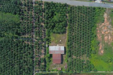 Batang Berjuntai @ Bestari Jaya