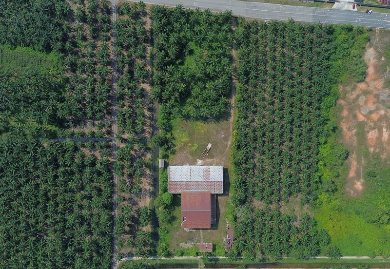 Batang Berjuntai @ Bestari Jaya